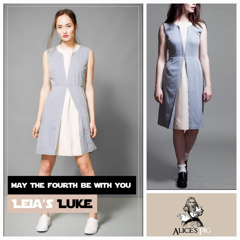 With Love Alice's Pig Leia's Luke Dress Size 6